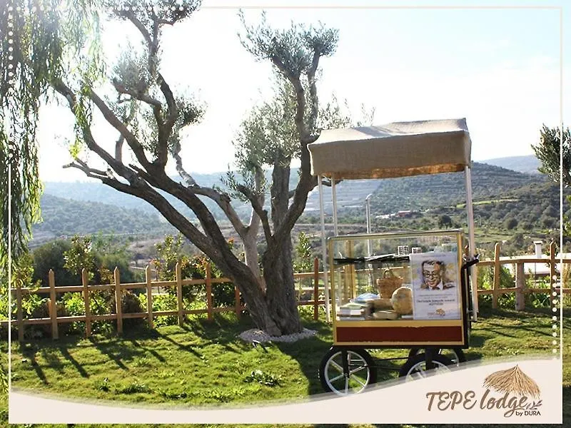 Tepe Lodge Çeşme 0*,  Türkei